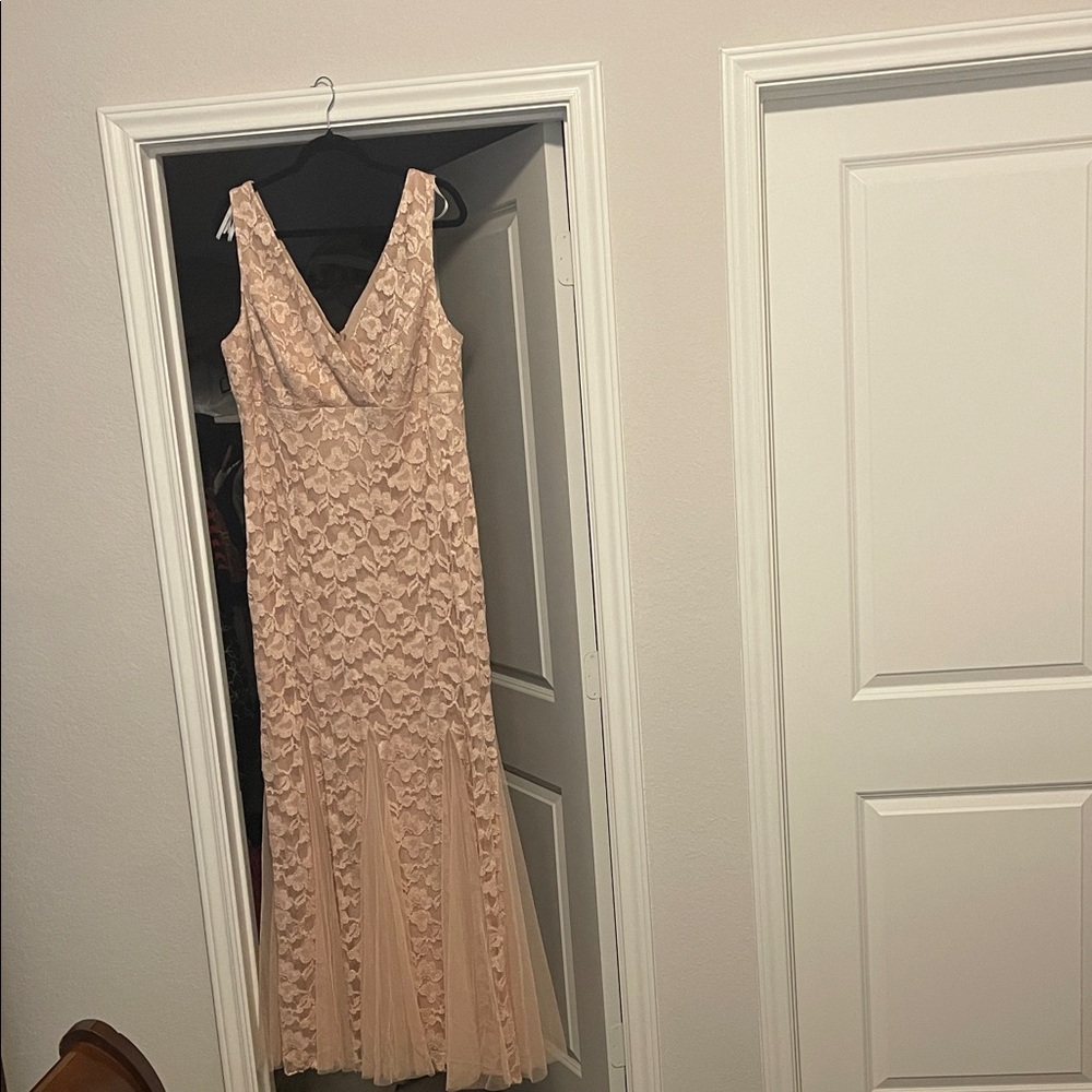 XSCAPE 18W Blush Lace V-Neck Evening Gown